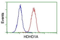HDHD1 Monoclonal Antibody (OTI6G3), TrueMAB , OriGene 100 &mu;L; Unconjugated:Antibodies,