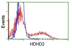 HDHD2 Monoclonal Antibody (OTI4G3), TrueMAB , OriGene 30 &mu;L; Unconjugated:Antibodies,