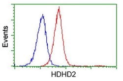 HDHD2 Monoclonal Antibody (OTI4G3), TrueMAB , OriGene 30 &mu;L; Unconjugated:Antibodies,