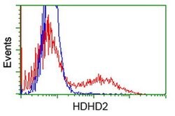 HDHD2 Monoclonal Antibody (OTI1H6), TrueMAB , OriGene 100 &mu;L; Unconjugated:Antibodies,