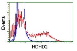 HDHD2 Monoclonal Antibody (OTI1A5), TrueMAB , OriGene 30 &mu;L; Unconjugated:Antibodies,