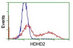 HDHD2 Monoclonal Antibody (OTI2E11), TrueMAB , OriGene 100 &mu;L; Unconjugated:Antibodies,