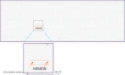 HEMGN Mouse anti-Human, Clone: UMAB169, liquid, UltraMAB 30 &mu;L; Unconjugated:Antibodies,