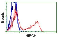 HIBCH Mouse anti-Canine, Human, Clone: OTI3H5, lyophilized, TrueMAB 100