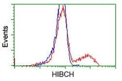 HIBCH Monoclonal Antibody (OTI1C7), TrueMAB , OriGene 100 &mu;L; Unconjugated:Antibodies,