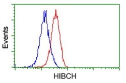 HIBCH Monoclonal Antibody (OTI1C7), TrueMAB , OriGene 100 &mu;L; Unconjugated:Antibodies,