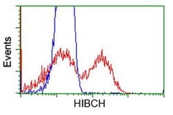 HIBCH Monoclonal Antibody (OTI4G1), TrueMAB , OriGene 30 &mu;L; Unconjugated:Antibodies,