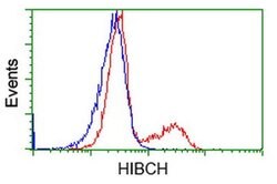 HIBCH Monoclonal Antibody (OTI3F6), TrueMAB , OriGene 100 &mu;L | Buy Online | OriGene | Fisher Scientific