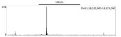 HIF1-alpha Recombinant Rabbit Monoclonal Antibody (BL-124-3F7), Bethyl