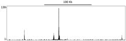 HIF2-alpha Recombinant Rabbit Monoclonal Antibody (BL-95-1A2), Bethyl Laboratories