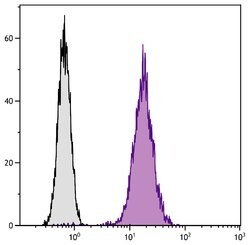 Invitrogen CD81 Monoclonal Antibody (2F7), FITC 500 &mu;g; FITC:Antibodies,
