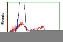 HMOX2 Mouse anti-Human, Clone: OTI4H8, liquid, TrueMAB 100 &mu;L; Unconjugated:Antibodies,