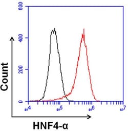 Invitrogen HNF4A Monoclonal Antibody (K9218) 100 &mu;L; Unconjugated:Antibodies,