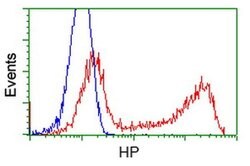 HP Monoclonal Antibody (OTI1F9), TrueMAB , OriGene 100 &mu;L; Unconjugated:Antibodies,