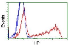 HP Mouse anti-Human, Clone: OTI1B1, lyophilized, TrueMAB 100 &mu;g; Unconjugated:Antibodies,