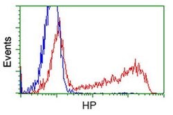 HP Monoclonal Antibody (OTI1B1), TrueMAB , OriGene 100 &mu;L; Unconjugated:Anticuerpos
