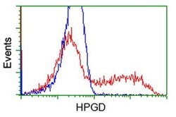 HPGD Monoclonal Antibody (OTI1E9), TrueMAB , OriGene 100 &mu;L; Unconjugated:Antibodies,