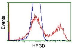 HPGD Monoclonal Antibody (OTI2C10), TrueMAB , OriGene 30 &mu;L; Unconjugated:Antibodies,