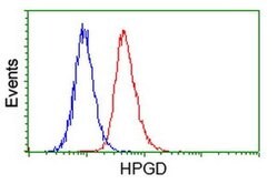 HPGD Monoclonal Antibody (OTI2C10), TrueMAB , OriGene 30 &mu;L; Unconjugated:Antibodies,