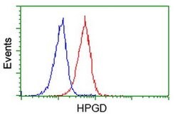 HPGD Monoclonal Antibody (OTI2C10), TrueMAB , OriGene 30 &mu;L; Unconjugated:Antibodies,