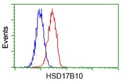 HSD17B10 Mouse anti-Human, Clone: OTI10B4, lyophilized, TrueMAB 100 &mu;g;