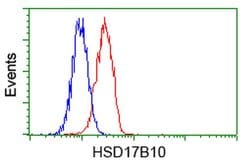 HSD17B10 Mouse anti-Human, Clone: OTI10B4, liquid, TrueMAB 100 &mu;L; Unconjugated:Antibodies,