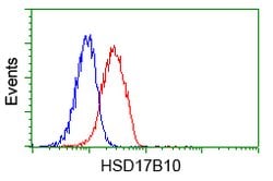 HSD17B10 Mouse anti-Human, Clone: OTI10B4, lyophilized, TrueMAB 100 &mu;g;