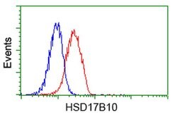 HSD17B10 Mouse anti-Human, Clone: OTI10B4, liquid, TrueMAB 100 &mu;L; Unconjugated:Antibodies,