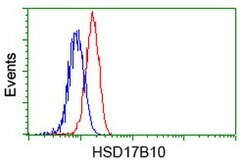 HSD17B10 Mouse anti-Human, Clone: OTI11A2, lyophilized, TrueMAB 100 &mu;g;