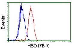 HSD17B10 Mouse anti-Human, Clone: OTI11A2, lyophilized, TrueMAB 100 &mu;g;