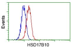 HSD17B10 Mouse anti-Human, Clone: OTI5E2, lyophilized, TrueMAB 100 &mu;g;
