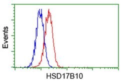 HSD17B10 Mouse anti-Human, Clone: OTI5E2, liquid, TrueMAB 100 &mu;L; Unconjugated:Antibodies,