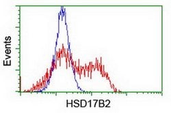 HSD17B2 Monoclonal Antibody (OTI4F10), TrueMAB , OriGene 30 &mu;L; Unconjugated:Antibodies,