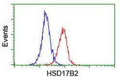 HSD17B2 Monoclonal Antibody (OTI4F10), TrueMAB , OriGene 30 &mu;L; Unconjugated:Antibodies,