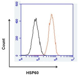 Invitrogen HSP60 Monoclonal Antibody (4B9/89) 100 &mu;g | Buy Online | Invitrogen&trade; | Fisher Scientific