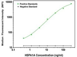 HSPA1A Mouse anti-Canine, Human, Biotin, Clone: OTI5F3, liquid, TrueMAB