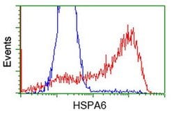 HSPA6 Mouse anti-Human, Clone: OTI1H3, lyophilized, TrueMAB 100 &mu;g;