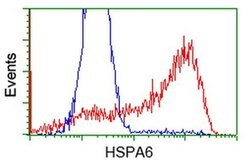 HSPA6 Monoclonal Antibody (OTI1H3), TrueMAB , OriGene 100 &mu;L; Unconjugated:Antibodies,