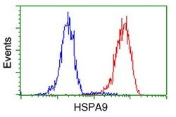 HSPA9 Mouse anti-Canine, Human, Rat, Clone: OTI9F8, lyophilized, TrueMAB