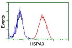 HSPA9 Mouse anti-Canine, Human, Rat, Clone: OTI9F8, lyophilized, TrueMAB