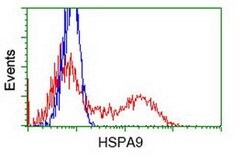 HSPA9 Mouse anti-Human, Clone: OTI10D7, liquid, TrueMAB 100 &mu;L; Unconjugated:Antibodies,