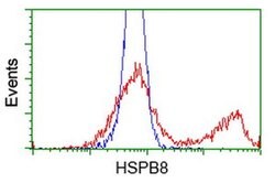 HSPB8 Monoclonal Antibody (OTI1E3), TrueMAB , OriGene 100 &mu;L; Unconjugated:Antibodies,