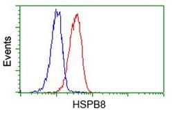 HSPB8 Mouse anti-Human, Rat, Clone: OTI1E3, lyophilized, TrueMAB 100 &mu;g;