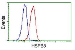 HSPB8 Monoclonal Antibody (OTI1E3), TrueMAB , OriGene 100 &mu;L; Unconjugated:Antibodies,