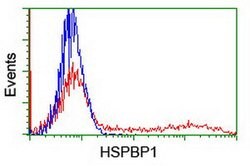 HSPBP1 Mouse anti-Human, Clone: OTI1H4, lyophilized, TrueMAB 100 &mu;g;