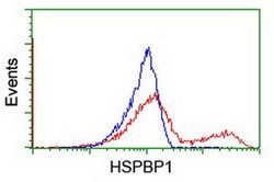 HSPBP1 Monoclonal Antibody (OTI2D1), TrueMAB , OriGene 30 &mu;L; Unconjugated:Antibodies,