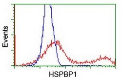 HSPBP1 Mouse anti-Human, Clone: OTI1F3, liquid, TrueMAB 100 &mu;L; Unconjugated:Antibodies,
