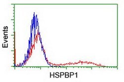 HSPBP1 Mouse anti-Human, Clone: OTI3E1, lyophilized, TrueMAB 100 &mu;g;