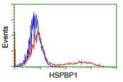HSPBP1 Monoclonal Antibody (OTI3E1), TrueMAB , OriGene 30 &mu;L; Unconjugated:Antibodies,