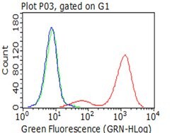 ICAM1 Monoclonal Antibody (OTI2H4), TrueMAB , OriGene 30 &mu;L; Unconjugated:Antibodies,